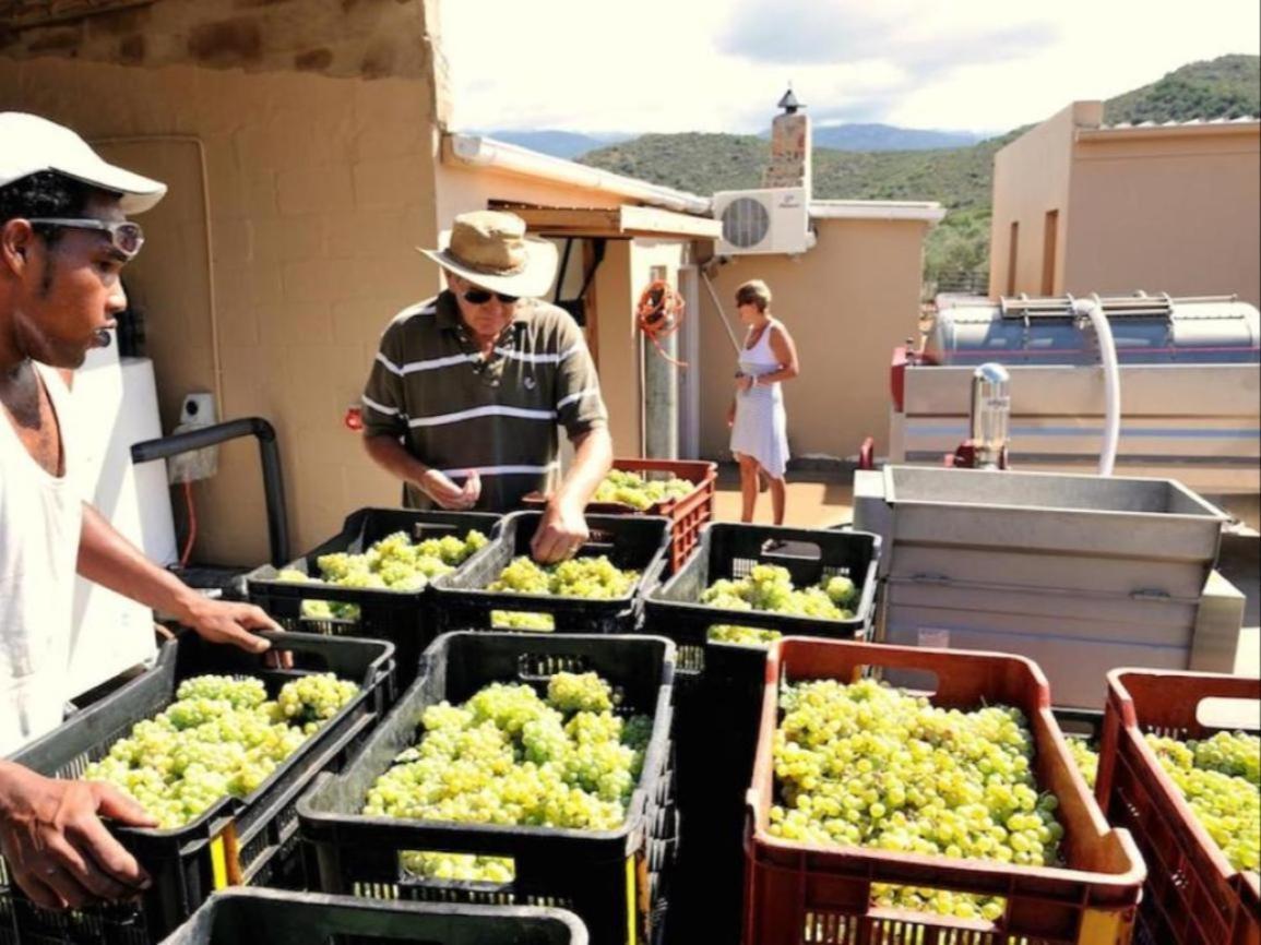 Mymering Wine & Guest Estate Ladismith Bagian luar foto