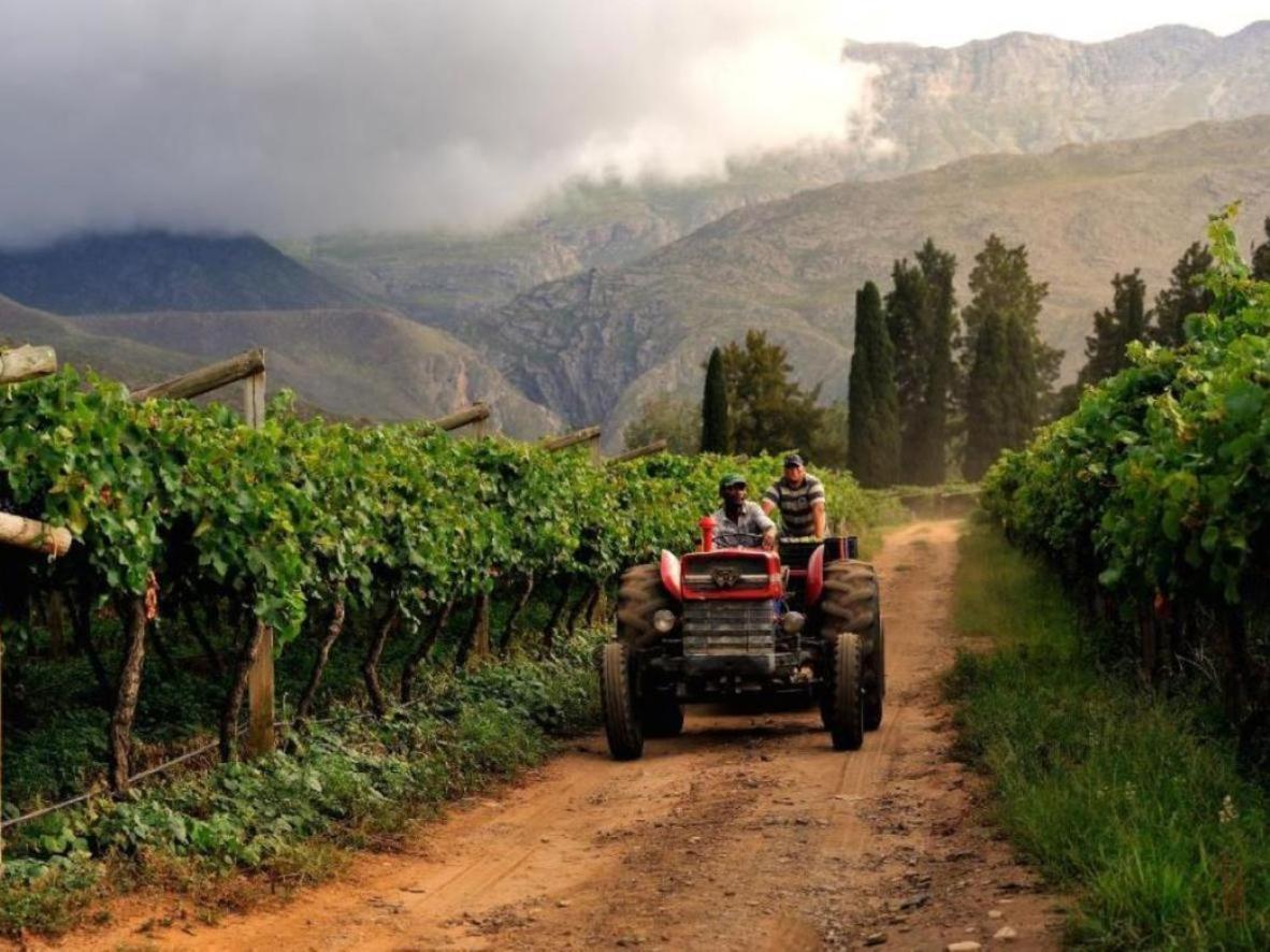 Mymering Wine & Guest Estate Ladismith Bagian luar foto