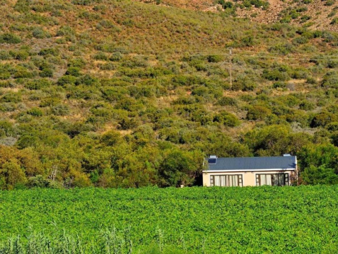 Mymering Wine & Guest Estate Ladismith Bagian luar foto