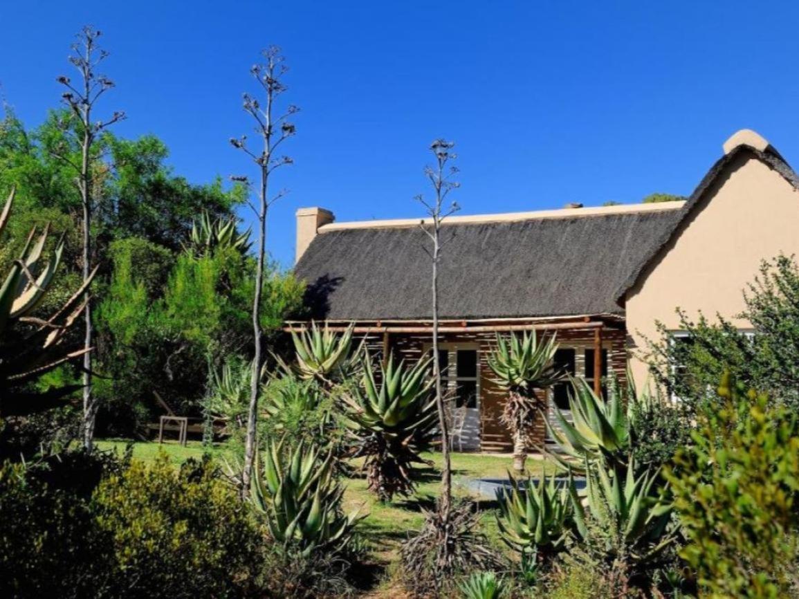 Mymering Wine & Guest Estate Ladismith Ruang foto