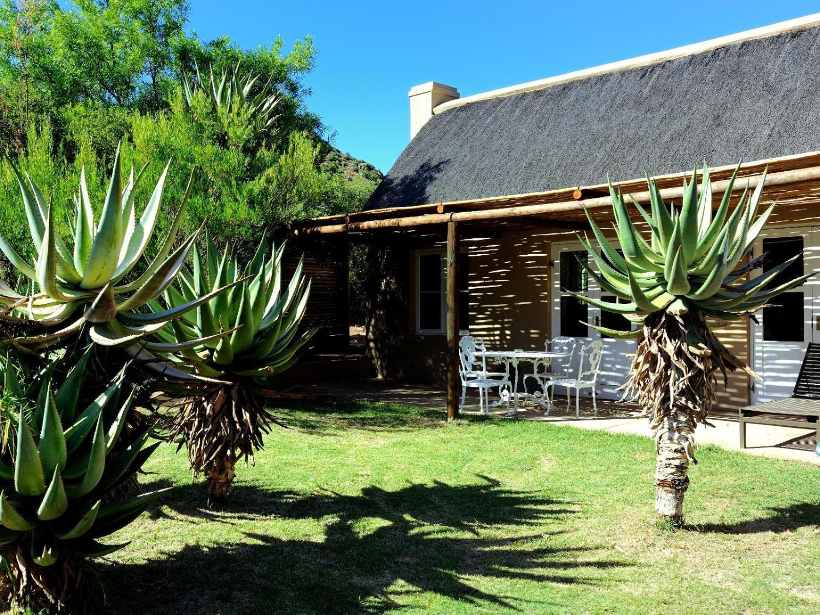 Mymering Wine & Guest Estate Ladismith Ruang foto